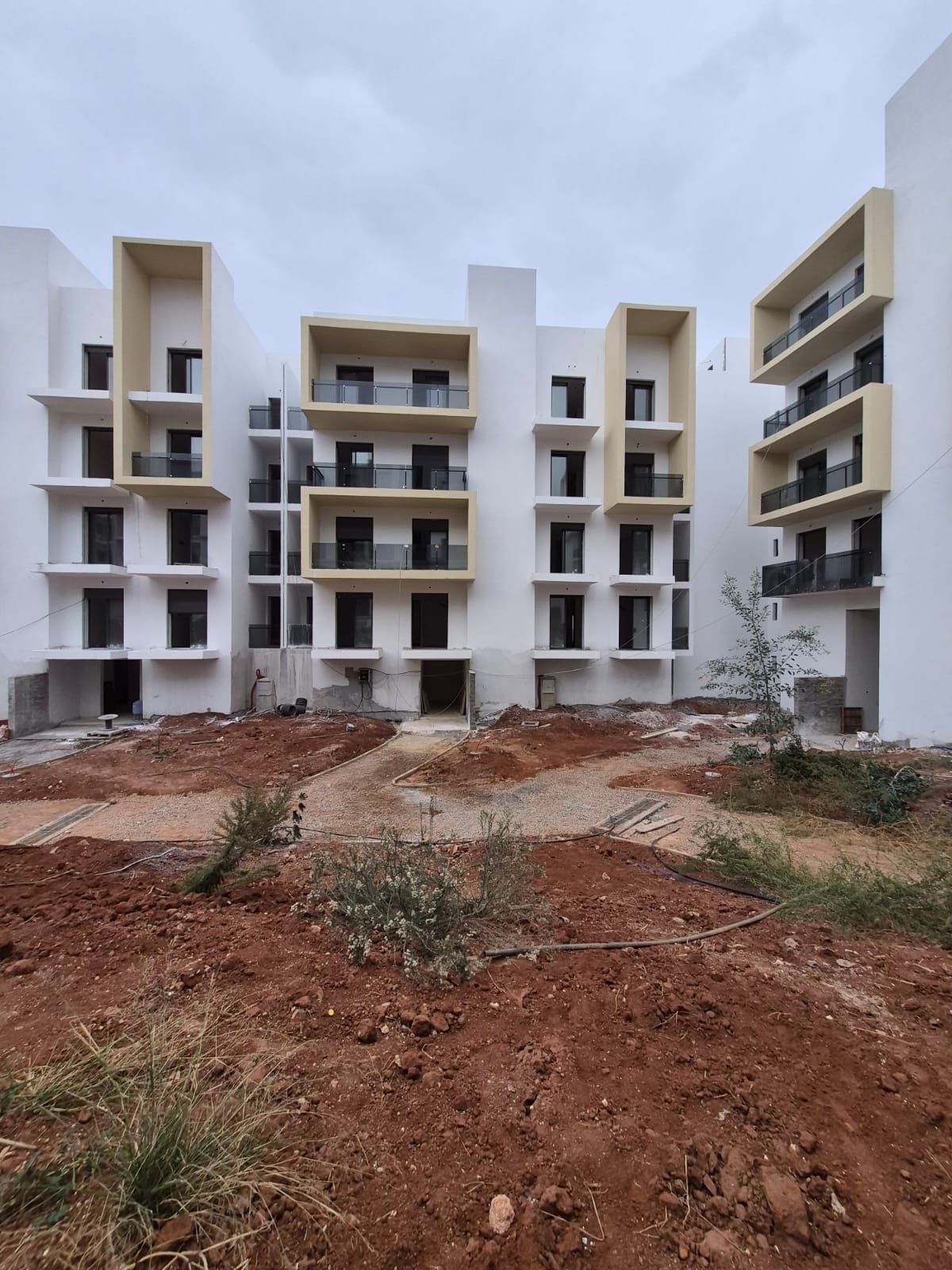 Projet Amicale Aljizza Lissakane